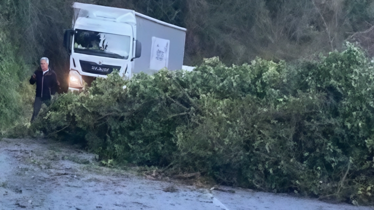 Il forte vento che da domenica scorsa si è abbattuto su buona parte della Toscana ha creato qualche grattacapo anche... Il forte vento che da domenica scorsa si è abbattuto su buona parte della Toscana ha creato qualche grattacapo anche...