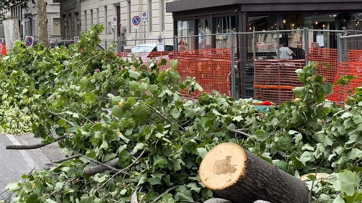 "E’ inaccettabile vedere l’abbattimento indiscriminato di alberi in viale Matteotti, lungo i cantieri per la tramvia. Il Comune dovrebbe spiegare... "E’ inaccettabile vedere l’abbattimento indiscriminato di alberi in viale Matteotti, lungo i cantieri per la tramvia. Il Comune dovrebbe spiegare...