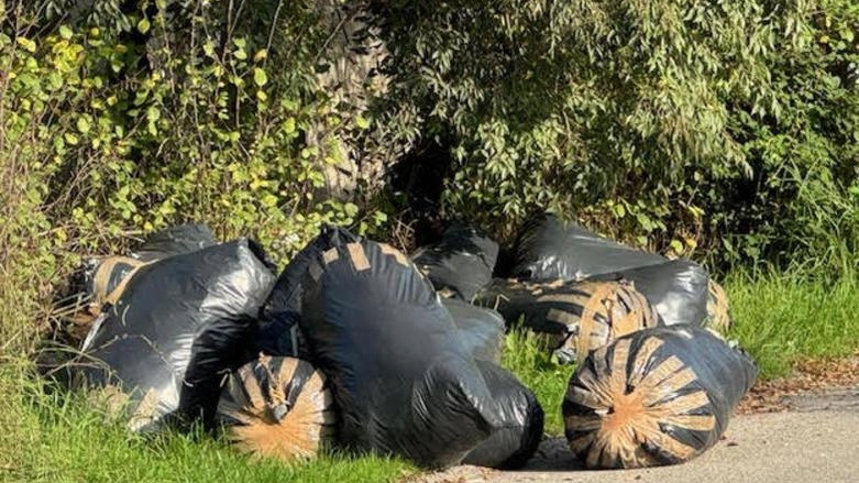 Una delle immagini scattate da Roberto Matteucci alle Cascine di Tavola Una delle immagini scattate da Roberto Matteucci alle Cascine di Tavola