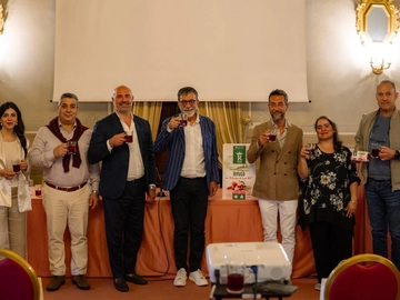 immagine articolo