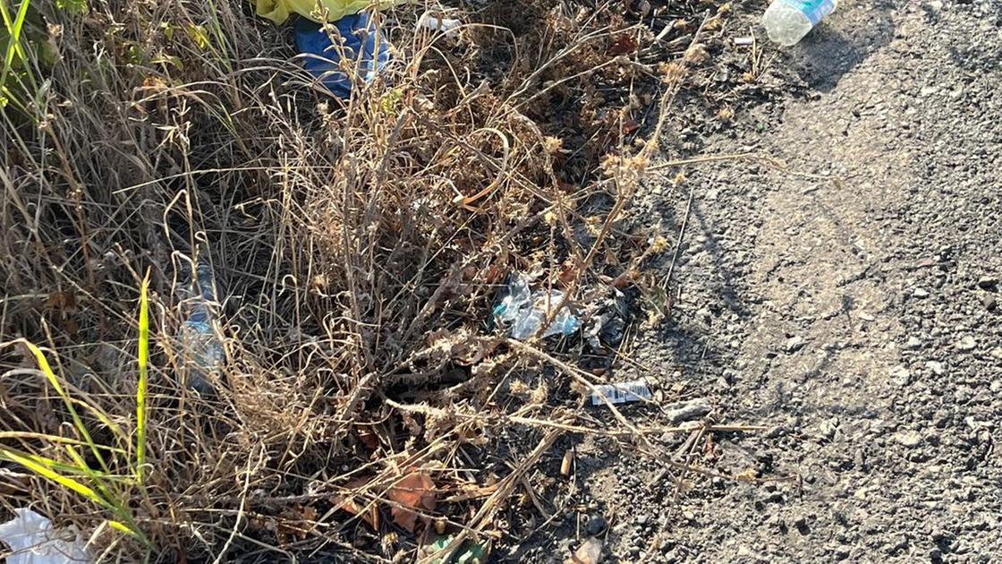 frigoriferi mobili e sacchi neri 200 boom di rifiuti abbandonati scatta l8217allarme a capannori