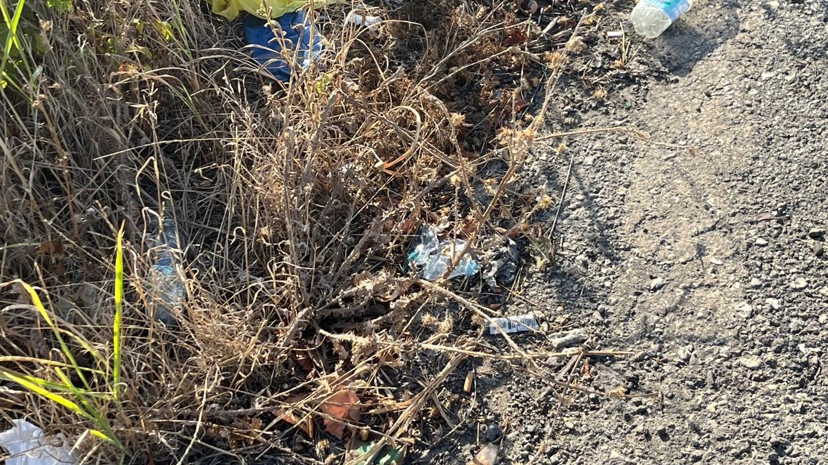 I rifiuti abbandonati lungo la strada immortalati da alcuni cittadini del Capannorese I rifiuti abbandonati lungo la strada immortalati da alcuni cittadini del Capannorese