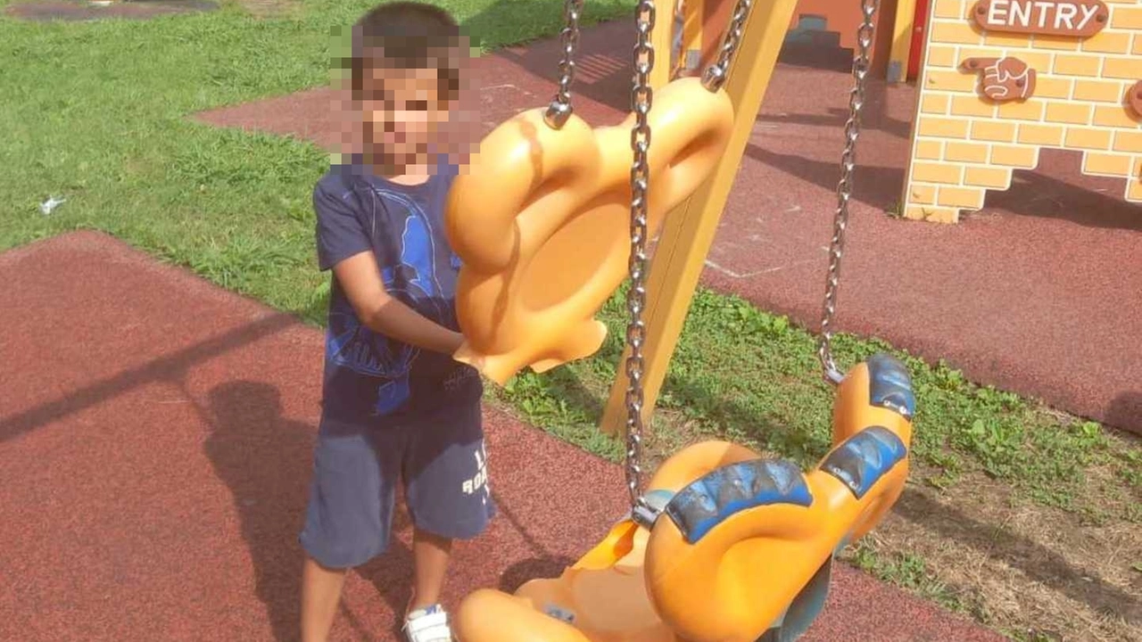 L’altalena inclusiva danneggiata al Parco delle farfalle a Ceparana L’altalena inclusiva danneggiata al Parco delle farfalle a Ceparana