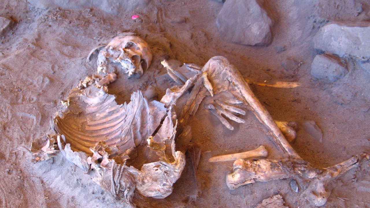 Mummia naturale di 7.000 anni fa trovata nel riparo roccioso di Takarkori (individuo H1) nella Libia meridionale