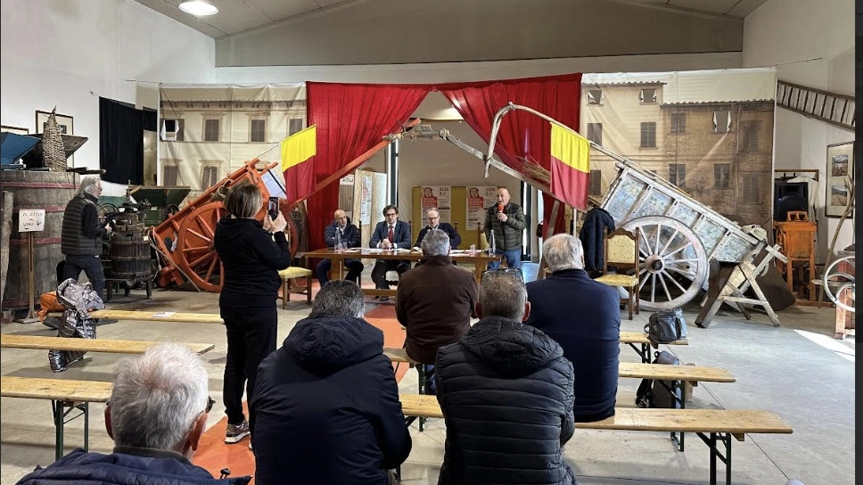 Cortona, 70esima edizione della Mostra dei bovini di razza Chianina