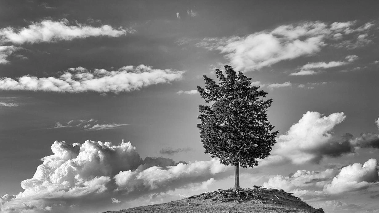 Una mostra fotografica come filo conduttore tra il passato e il presente, tra il dovere della memoria e uno sguardo...