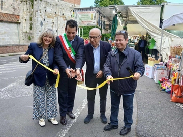 immagine articolo