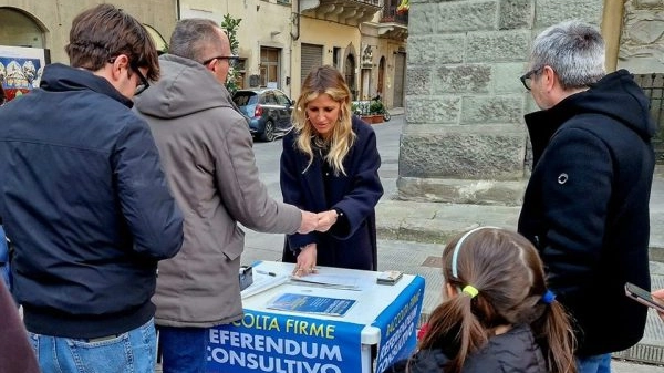 La raccolta firme La raccolta firme