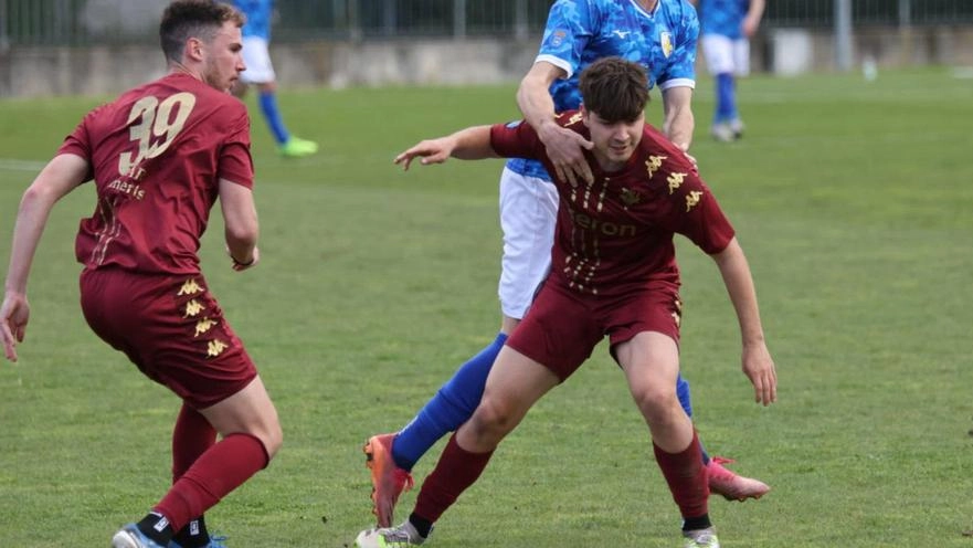 Il Tau Altopascio potrebbe affrontare il girone A con Seravezza e Camaiore, mentre la Lucchese attende l'esito della trattativa con Ghiviborgo. Il Tau Altopascio potrebbe affrontare il girone A con Seravezza e Camaiore, mentre la Lucchese attende l'esito della trattativa con Ghiviborgo.