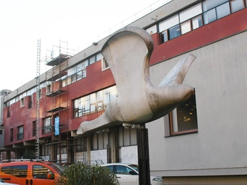 immagine articolo