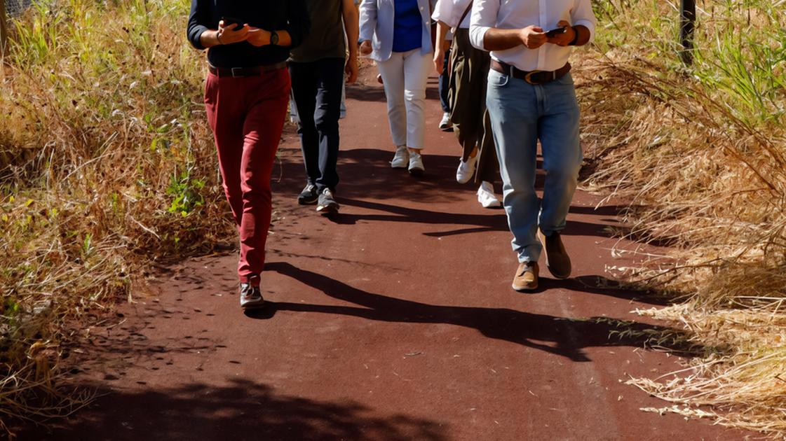 Commissione sul giardino pensile sull’A1: "Condizioni desolanti"