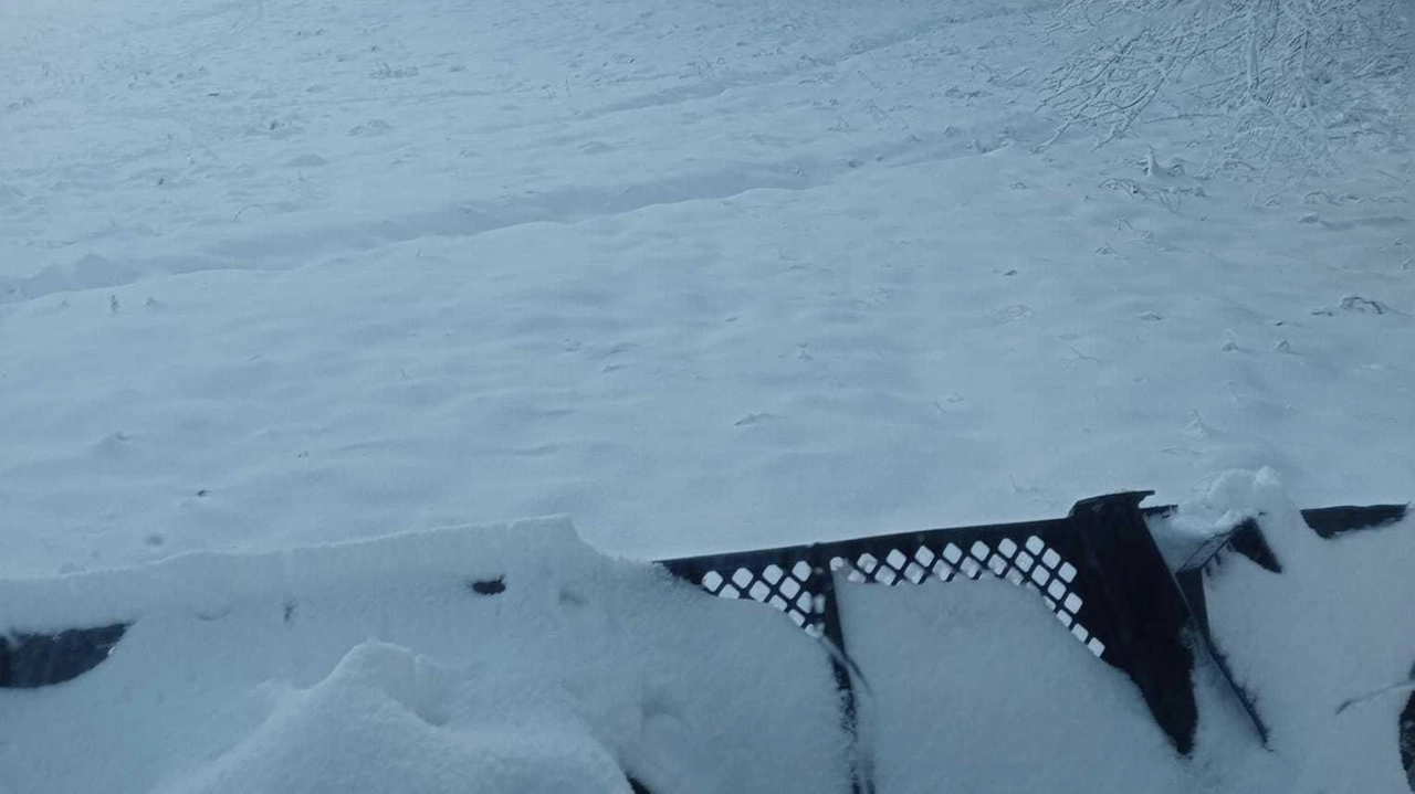 Anche la pista del Crocicchio potrebbe essere aperta, di sicuro è in funzione la seggiovia del Cantore che dal secondo rifugio porta in vetta Anche la pista del Crocicchio potrebbe essere aperta, di sicuro è in funzione la seggiovia del Cantore che dal secondo rifugio porta in vetta