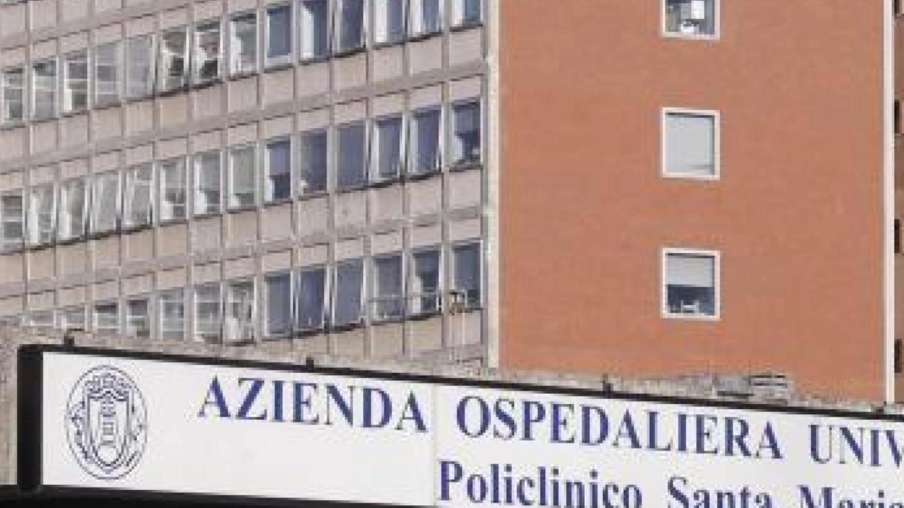 Novità importante per le Scotte