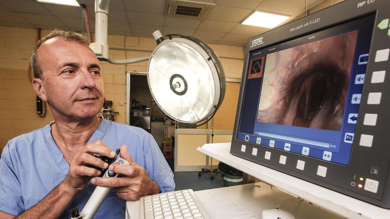 Il dottor Raffaello Ciampoli alla clinica veterinaria del Ceppo dove ha operato tantissimi cavalli con successo Il dottor Raffaello Ciampoli alla clinica veterinaria del Ceppo dove ha operato tantissimi cavalli con successo
