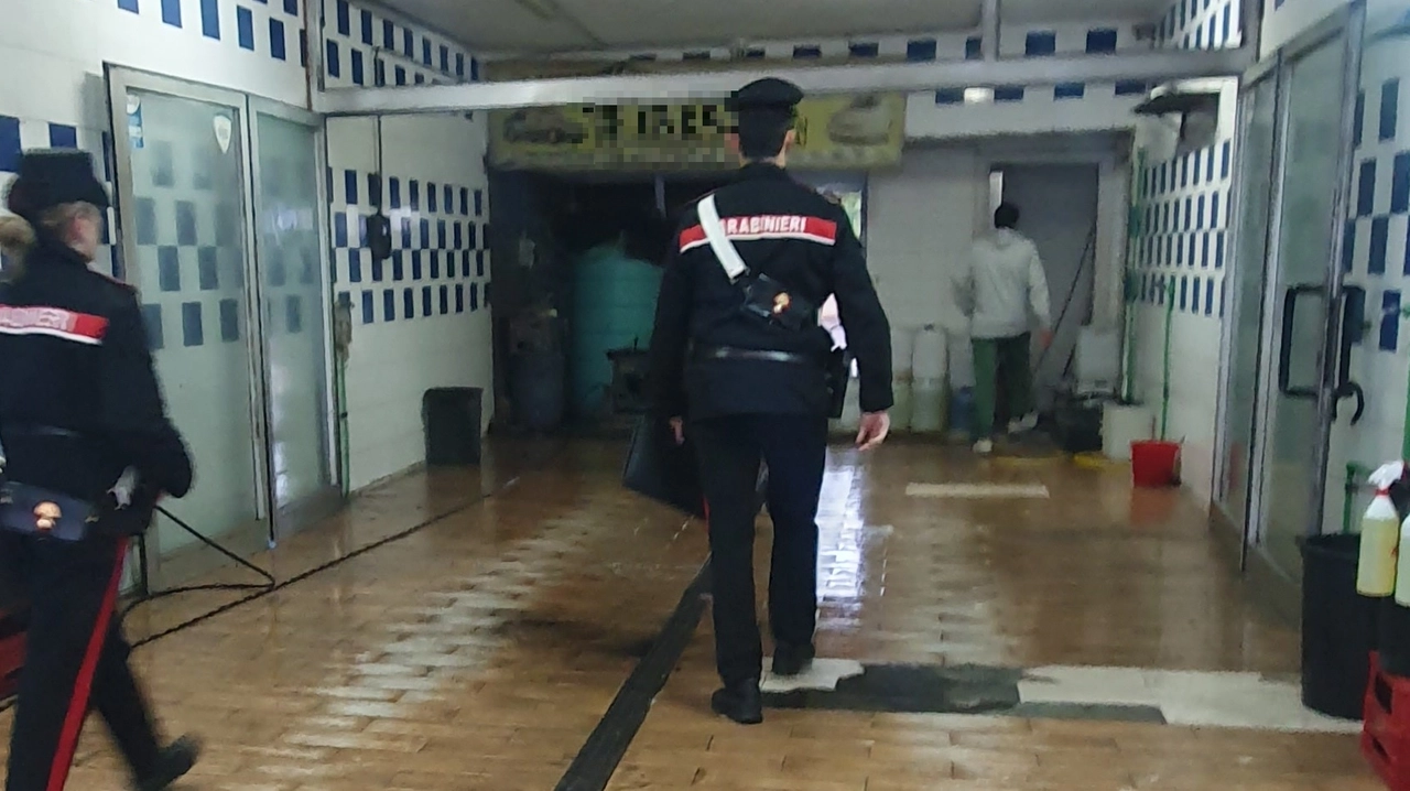 Controlli dei carabinieri (foto di repertorio) Controlli dei carabinieri (foto di repertorio)