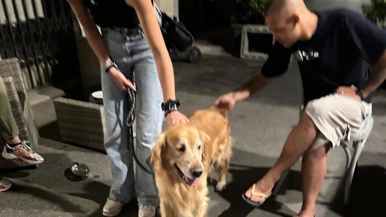 Il Golden. Ettore, fuggito di casa e recuperato grazie ad una coppia del centro Il Golden. Ettore, fuggito di casa e recuperato grazie ad una coppia del centro
