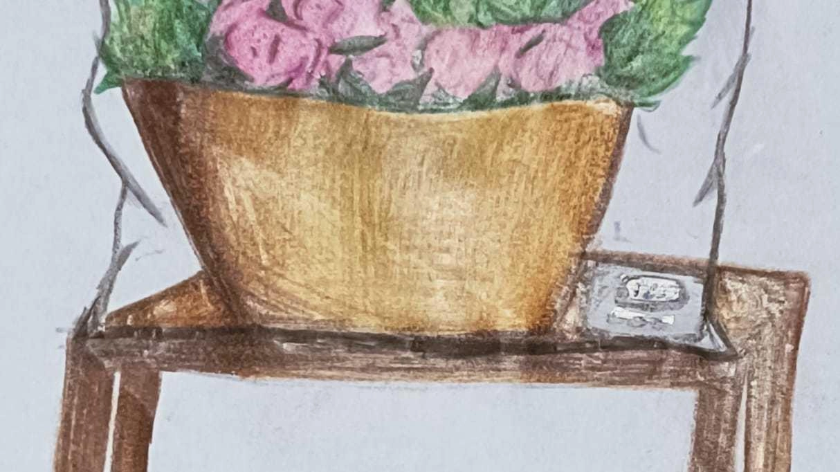 L’esperimento con una piantina