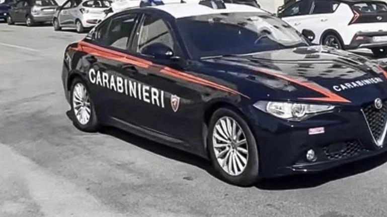 Indagini condotte dai carabinieri Indagini condotte dai carabinieri