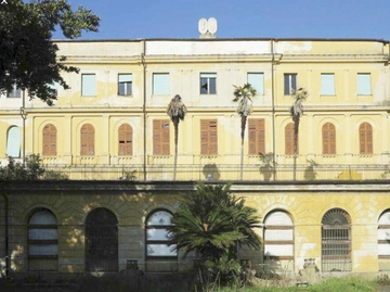 immagine articolo