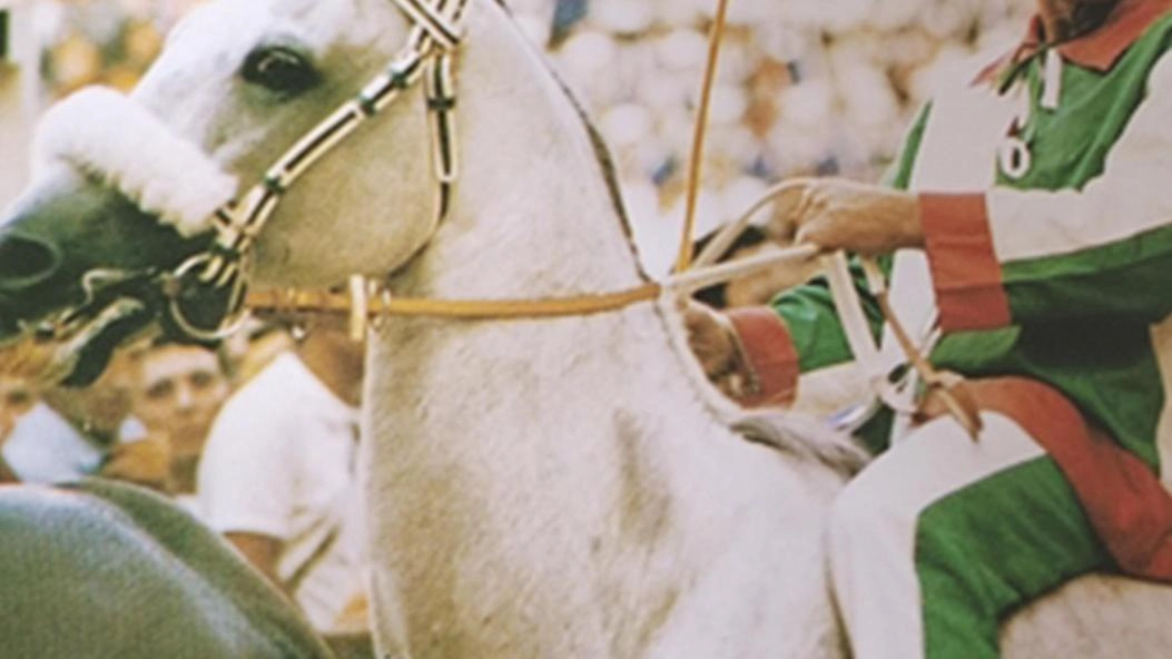 Aceto su Brandano nel 1985 nell’Oca coglie il suo tredicesimo successo Aceto su Brandano nel 1985 nell’Oca coglie il suo tredicesimo successo