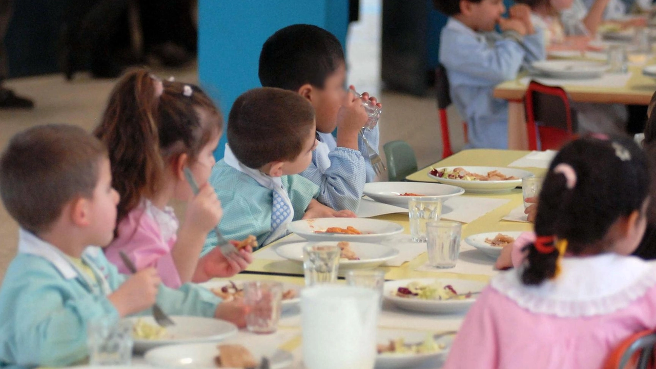 Furono 246 i bambini e 23 gli insegnanti che si sentirono male dopo aver consumato il pasto alla mensa il 21 settembre scorso Furono 246 i bambini e 23 gli insegnanti che si sentirono male dopo aver consumato il pasto alla mensa il 21 settembre scorso