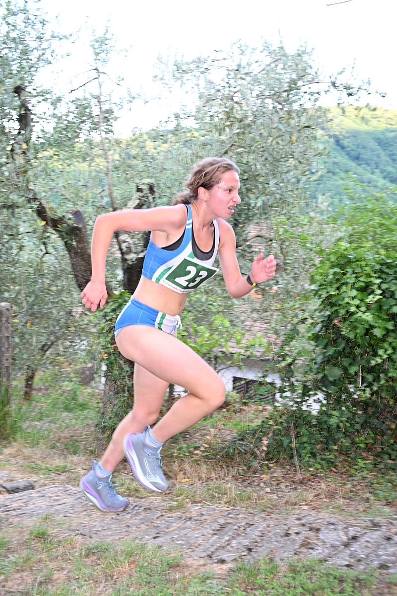 immagine di sfondo 7