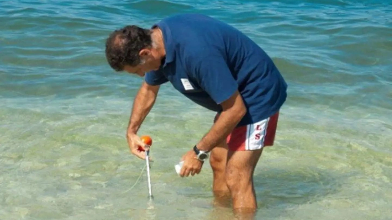 I prelievi dell'Arpat in mare I prelievi dell'Arpat in mare