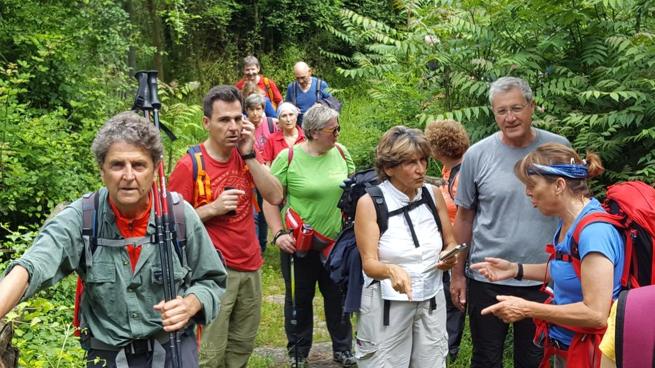 il Cammino della Setteponti. Curve, controcurve, leggere salite e dolci discese. La strada che unisce i comuni alle pendici del Pratomagno, quelli che si affacciano sul Valdarno, la strada dei ciclisti e di tanta bellezza il Cammino della Setteponti. Curve, controcurve, leggere salite e dolci discese. La strada che unisce i comuni alle pendici del Pratomagno, quelli che si affacciano sul Valdarno, la strada dei ciclisti e di tanta bellezza