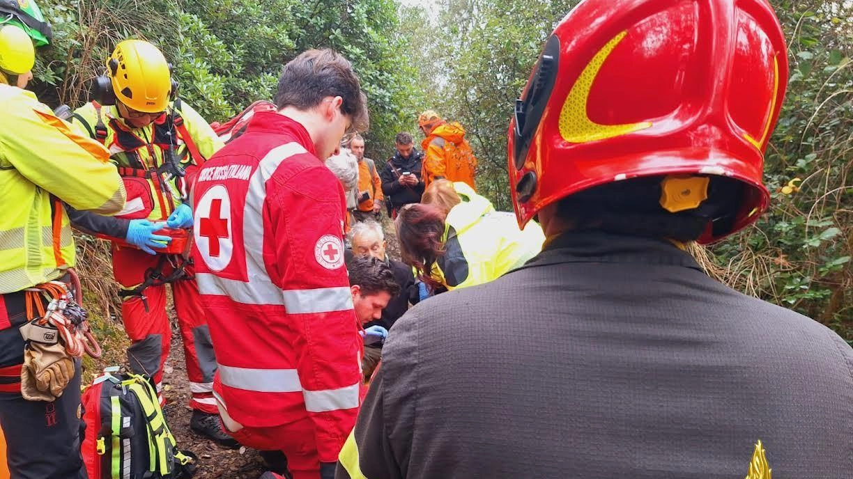 L’uomo è stato colpito al petto dalla scheggia di un proiettile: si tratta adesso di capire se partito. dal proprio fucile o per errore dall’arma di un altro cacciatore L’uomo è stato colpito al petto dalla scheggia di un proiettile: si tratta adesso di capire se partito. dal proprio fucile o per errore dall’arma di un altro cacciatore