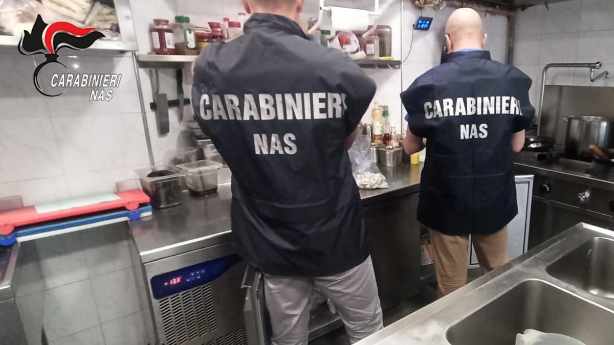 scarafaggi vivi e morti in cucina chiuso fast food a pontedera e multa da 3000 euro per il gestore
