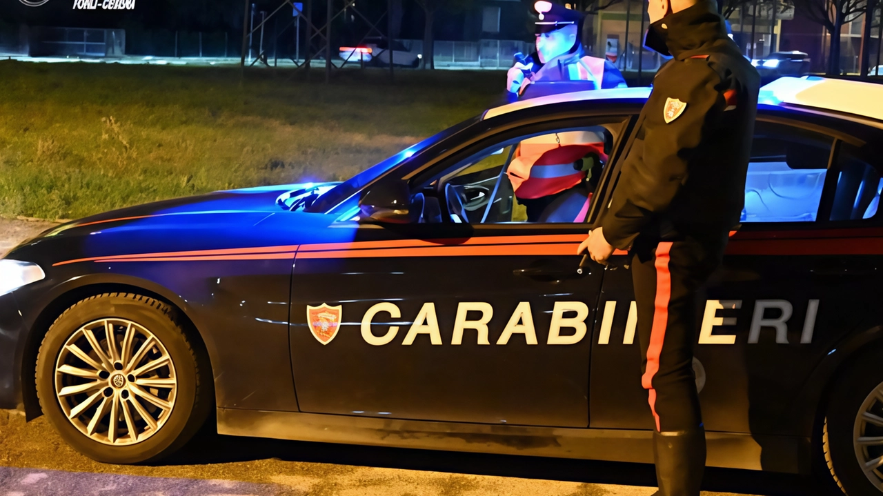 Del caso si stanno occupando i carabinieri Del caso si stanno occupando i carabinieri