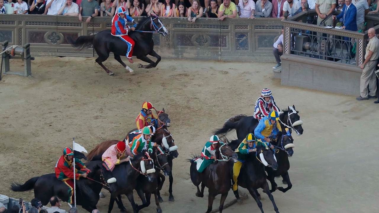 Palio, l’ora delle verità: la mossa a rischio e tante incognite. Nessun vero favorito