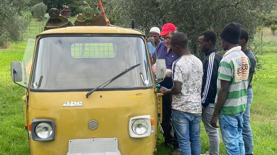 Giovani migranti del centro "Demidoff" a Pratolino partecipano al progetto "Rastrello" della Regione Toscana, acquisendo abilità agricole in aziende locali. Giovani migranti del centro "Demidoff" a Pratolino partecipano al progetto "Rastrello" della Regione Toscana, acquisendo abilità agricole in aziende locali.