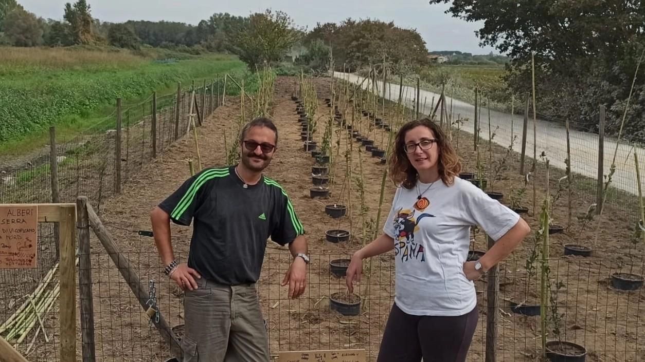 Matrimonio a Vicopisano: Vanessa e Mirko piantano querce sul Monte Pisano per la rinascita dopo l'incendio. Evento aperto a tutti domenica 9 alle 9 presso la Nursery degli alberi. Matrimonio a Vicopisano: Vanessa e Mirko piantano querce sul Monte Pisano per la rinascita dopo l'incendio. Evento aperto a tutti domenica 9 alle 9 presso la Nursery degli alberi.