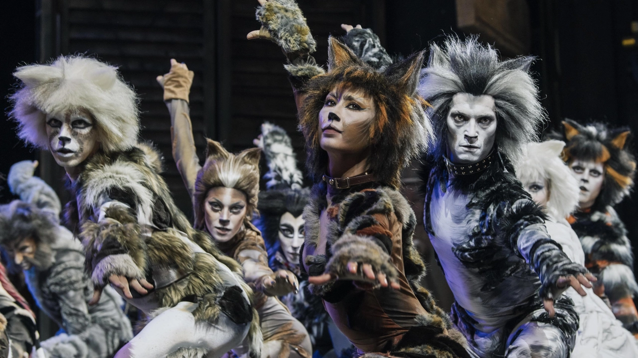 ’Cats’ di Andrew Lloyd Webber è uno dei più famosi musical nel mondo: da oggi arriva a Firenze la versione firmata Massimo Romeo Piparo ’Cats’ di Andrew Lloyd Webber è uno dei più famosi musical nel mondo: da oggi arriva a Firenze la versione firmata Massimo Romeo Piparo