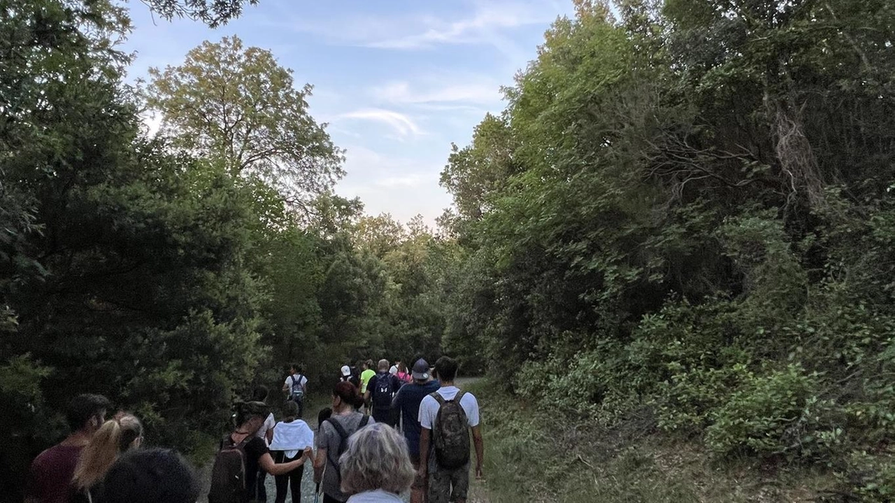 Sabato e domenica l’associazione Vis Movendi organizza la V edizione de "La Scarpinata della Garfagnana", una due giorni all’insegna del... Sabato e domenica l’associazione Vis Movendi organizza la V edizione de "La Scarpinata della Garfagnana", una due giorni all’insegna del...