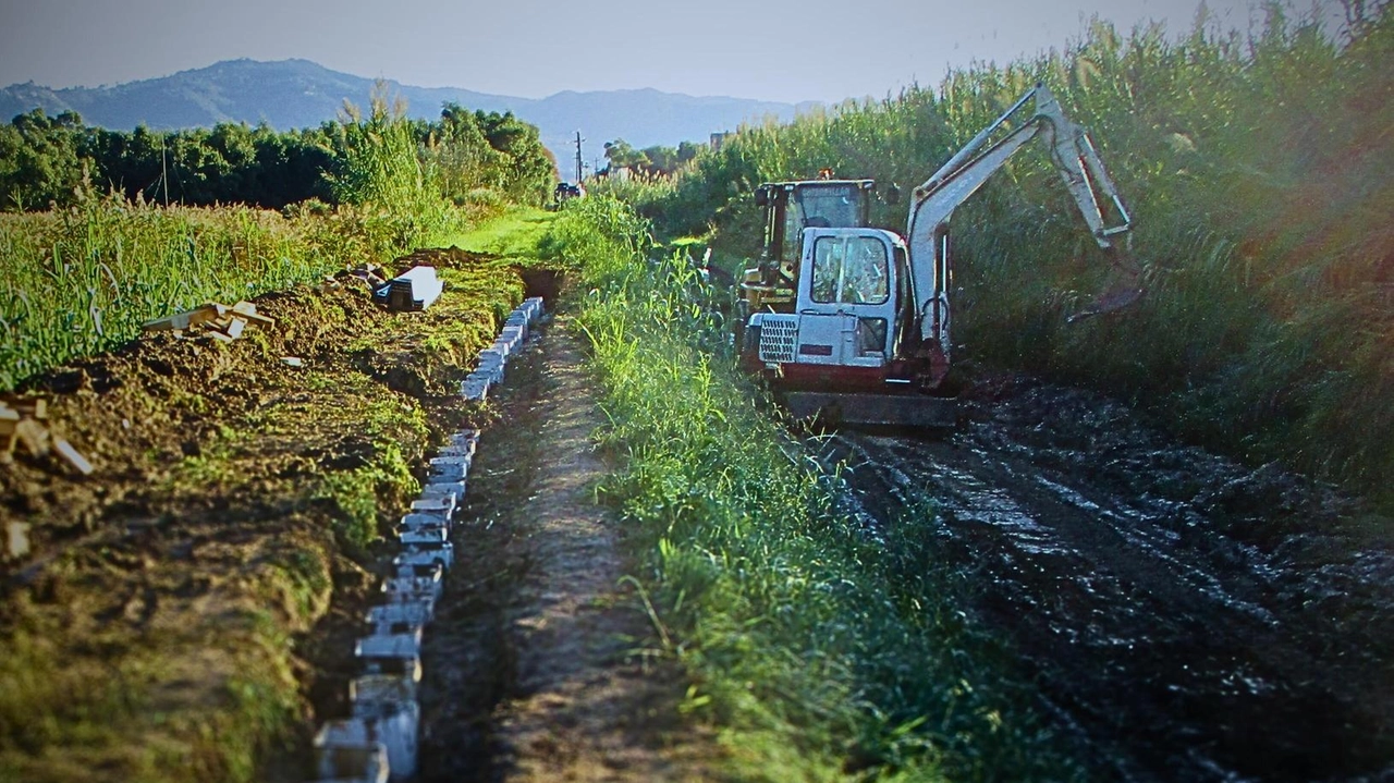 Già partito l’intervento da 1,5milioni di euro per rafforzare gli argini del Massaciuccoli Già partito l’intervento da 1,5milioni di euro per rafforzare gli argini del Massaciuccoli