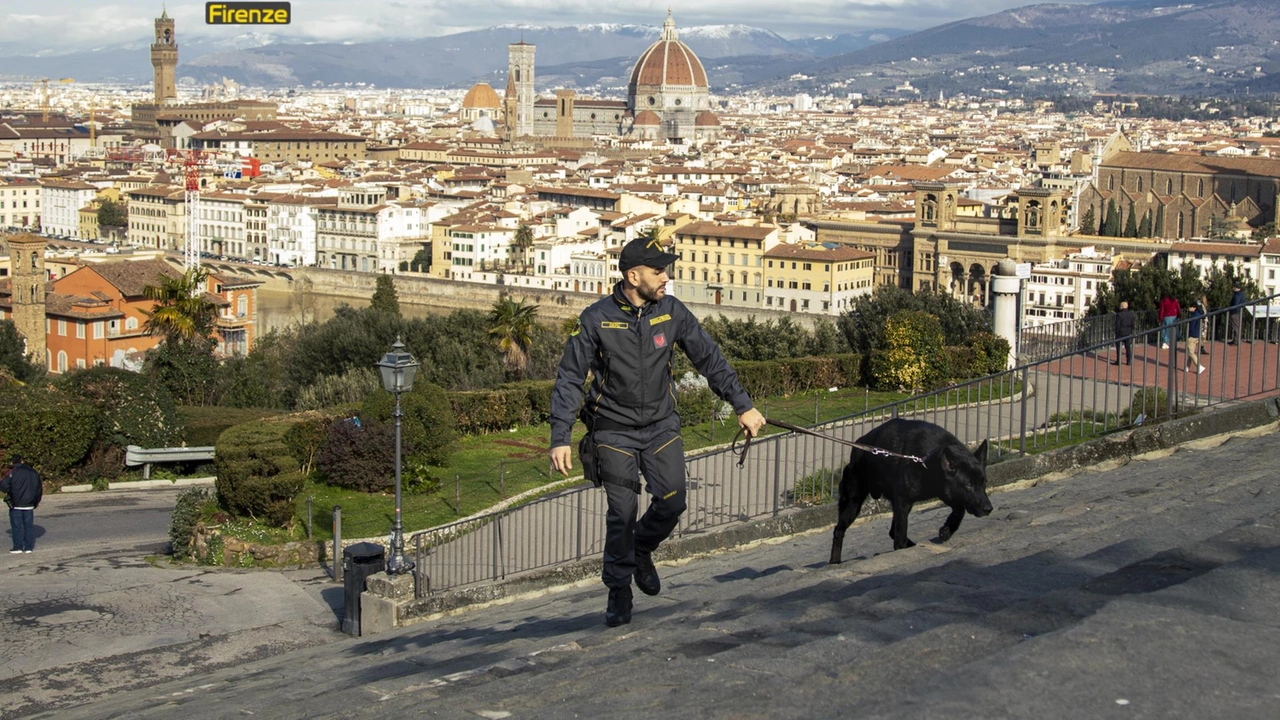 Il cane Geremy Il cane Geremy