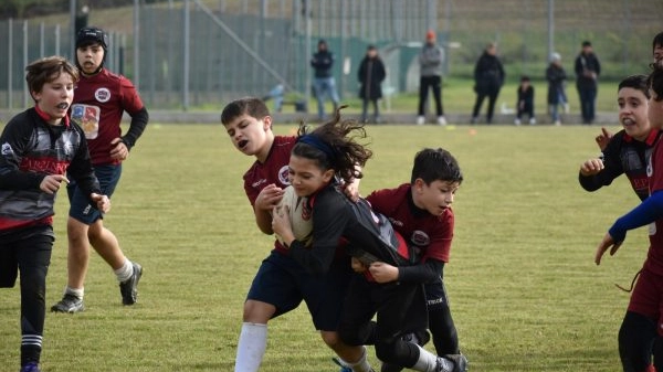 I ragazzi del Rugby Valdarno I ragazzi del Rugby Valdarno