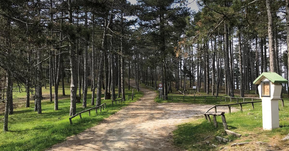 Nasce “Uniti per Lignano”: un