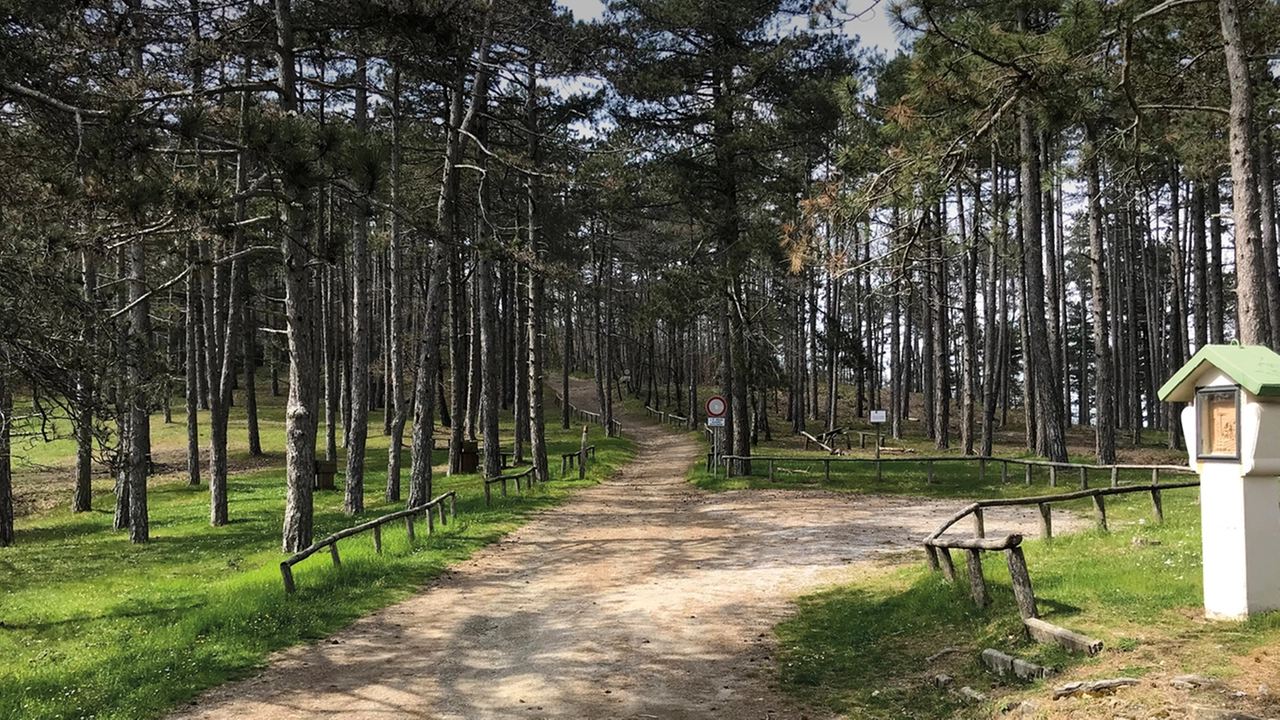 lignano lignano