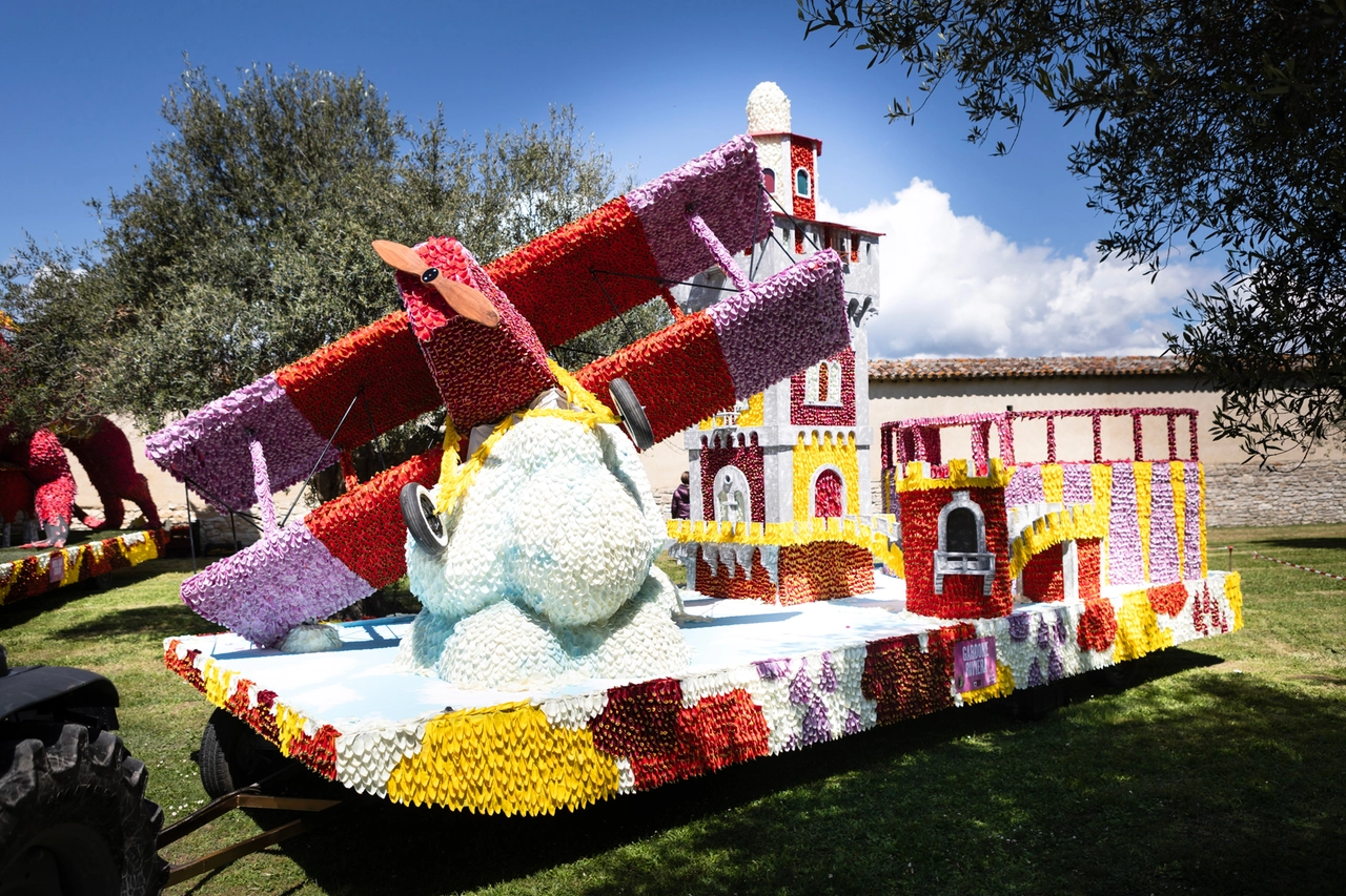 Festa del Tulipano