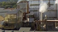 Nuovo impulso di UniCredit alla crescita sostenibile anche in Toscana. L’istituto di credito ha concesso un finanziamento Esg Futuro sostenibile... Nuovo impulso di UniCredit alla crescita sostenibile anche in Toscana. L’istituto di credito ha concesso un finanziamento Esg Futuro sostenibile...