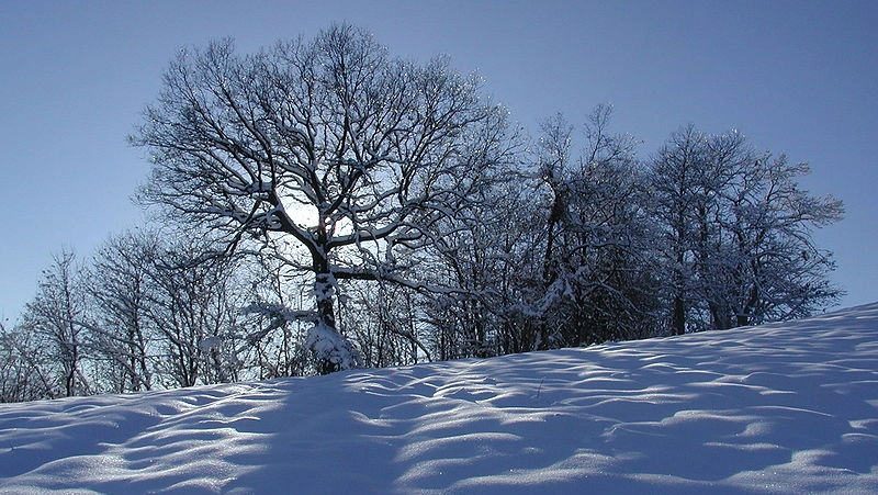 Neve in Toscana (Foto di archivio) Neve in Toscana (Foto di archivio)