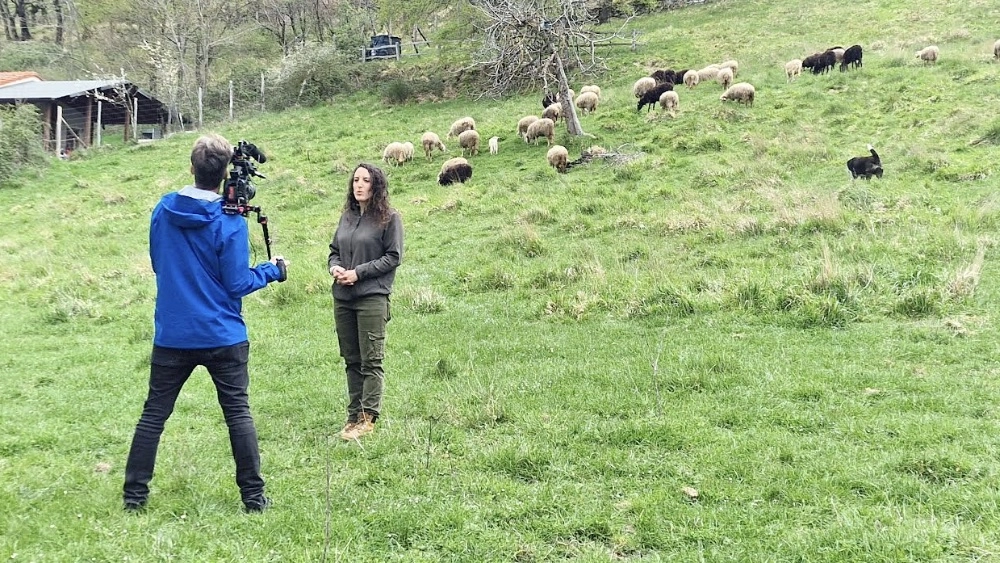 Le riprese della trasmissione