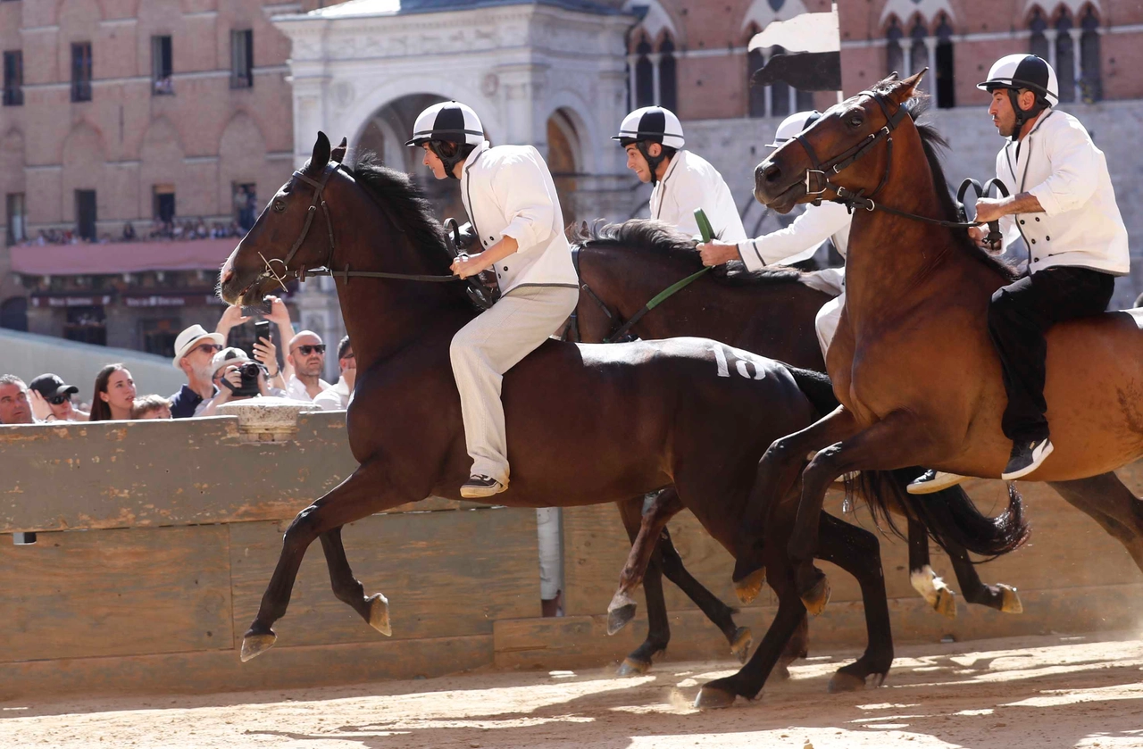 immagine di sfondo 16