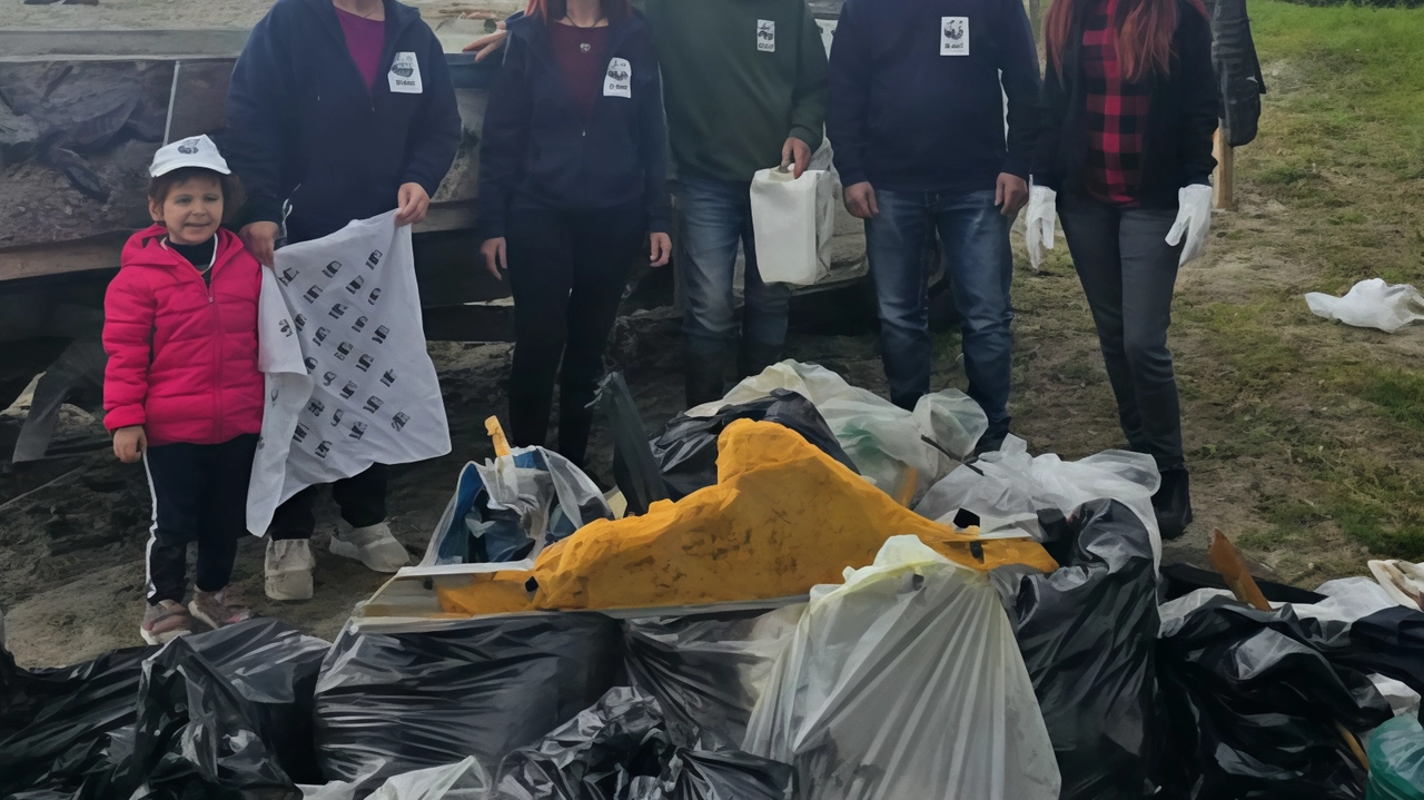 Il Wwf, con il Comune e altri enti, bonifica il Fosso Poveromo, un'area di pregio a Marina di Massa, per proteggere la biodiversità.