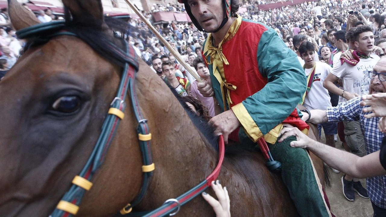 Andrea Mari detto Brio è scomparso nel maggio 2021: nella foto la vittoria nel Drago Andrea Mari detto Brio è scomparso nel maggio 2021: nella foto la vittoria nel Drago