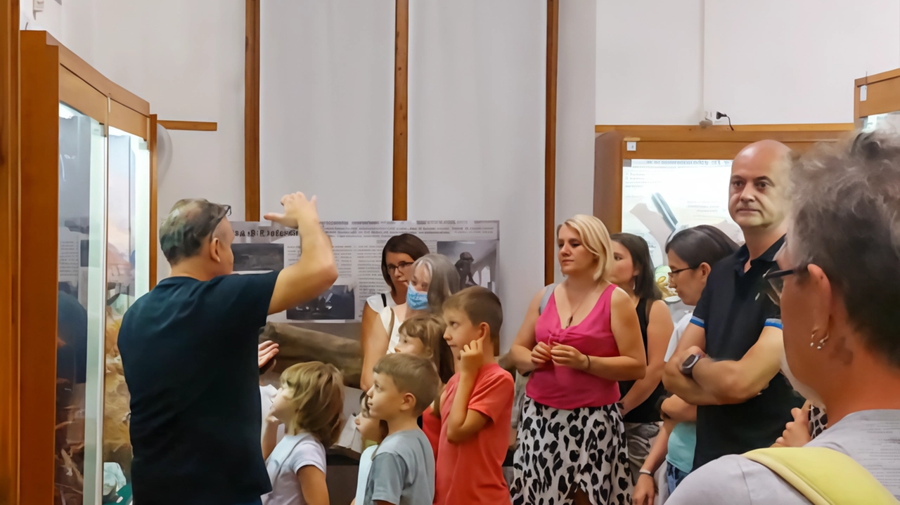 Il Gamps arriva sul National Geographic grazie alle sue collezioni. Lo studio sui denti di squali del pliocene, analizzati... Il Gamps arriva sul National Geographic grazie alle sue collezioni. Lo studio sui denti di squali del pliocene, analizzati...