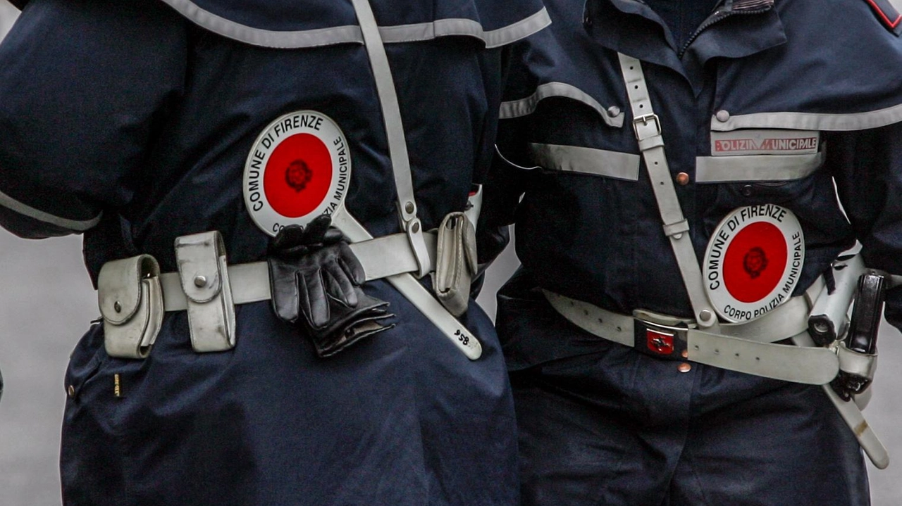 Una foto generica di polizia municipale (Germogli) Una foto generica di polizia municipale (Germogli)